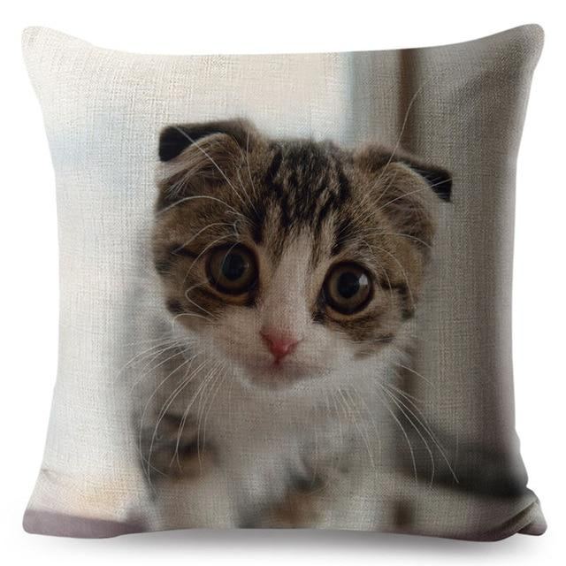 3d Skotsk Kattputeovertrekk
