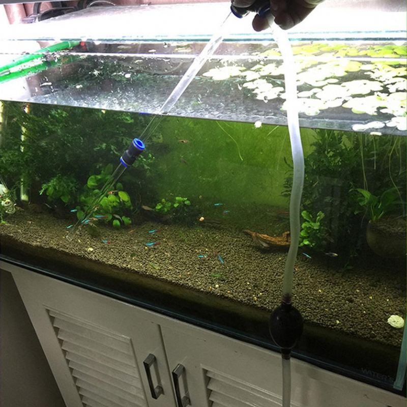 Akvariefisketanker Vannlåsrens Og Vannveksler
