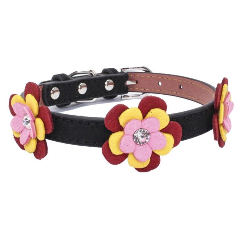 Blomsterkrage For Kjæledyrartister