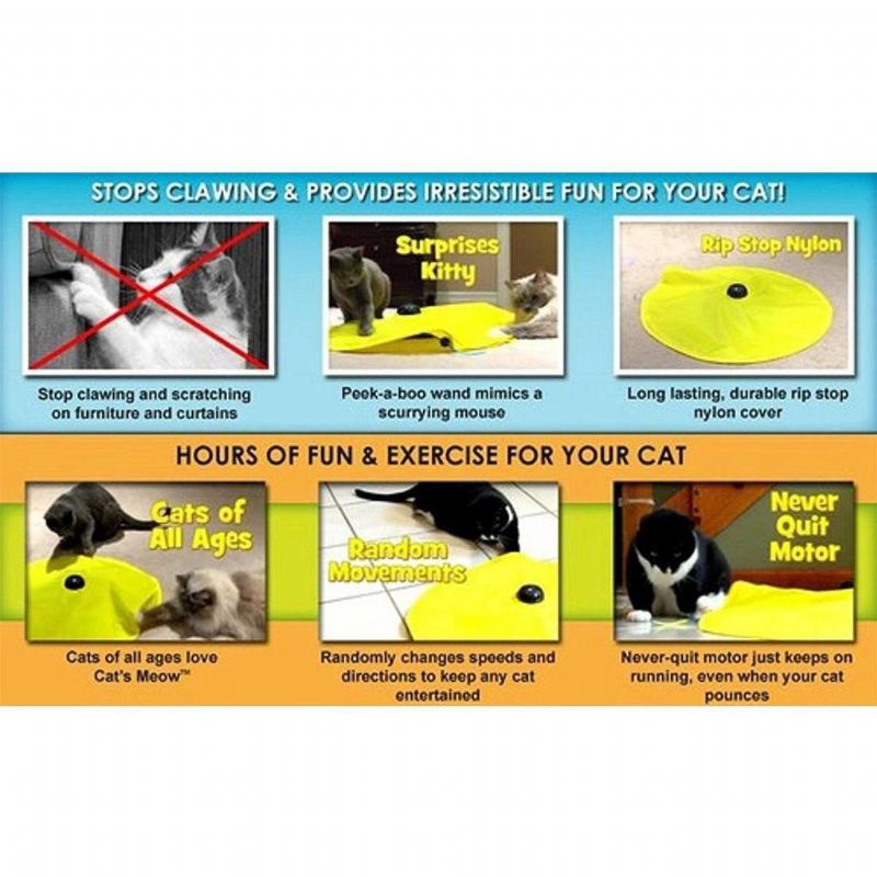 For Alle Kattene Som Elsker Mus