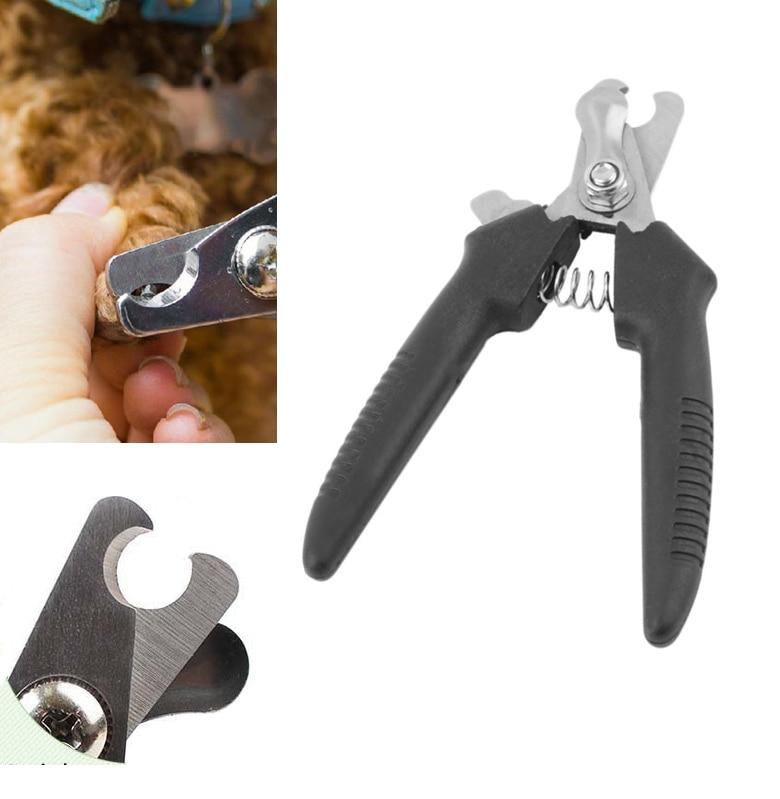 Fuglespikksaks