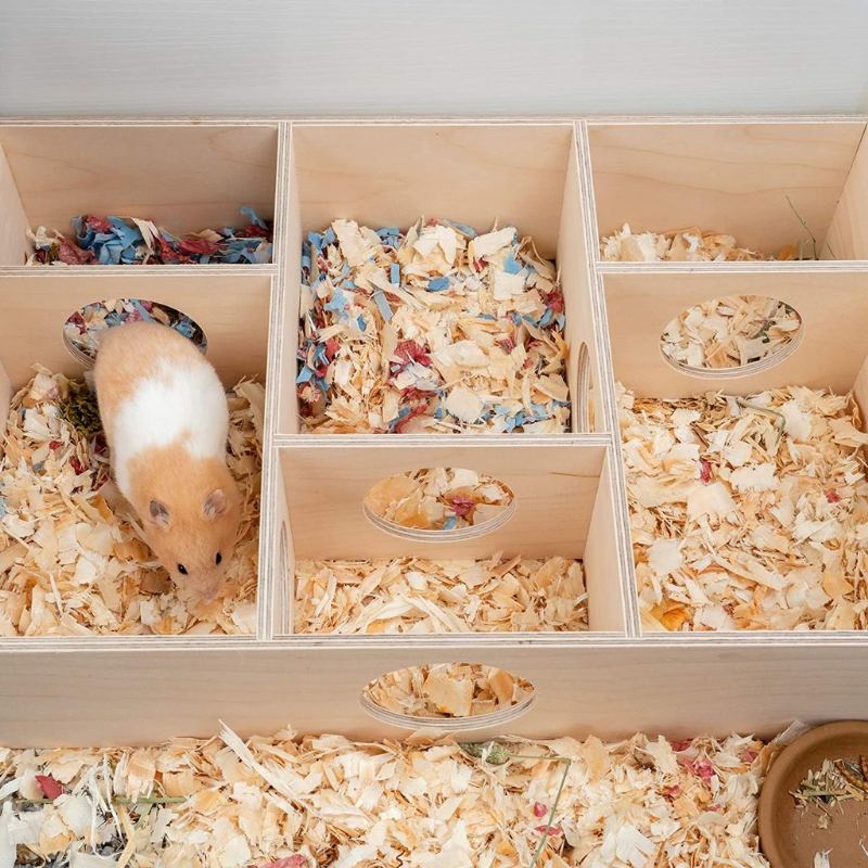 Hamsterhus Med Flere Kammer