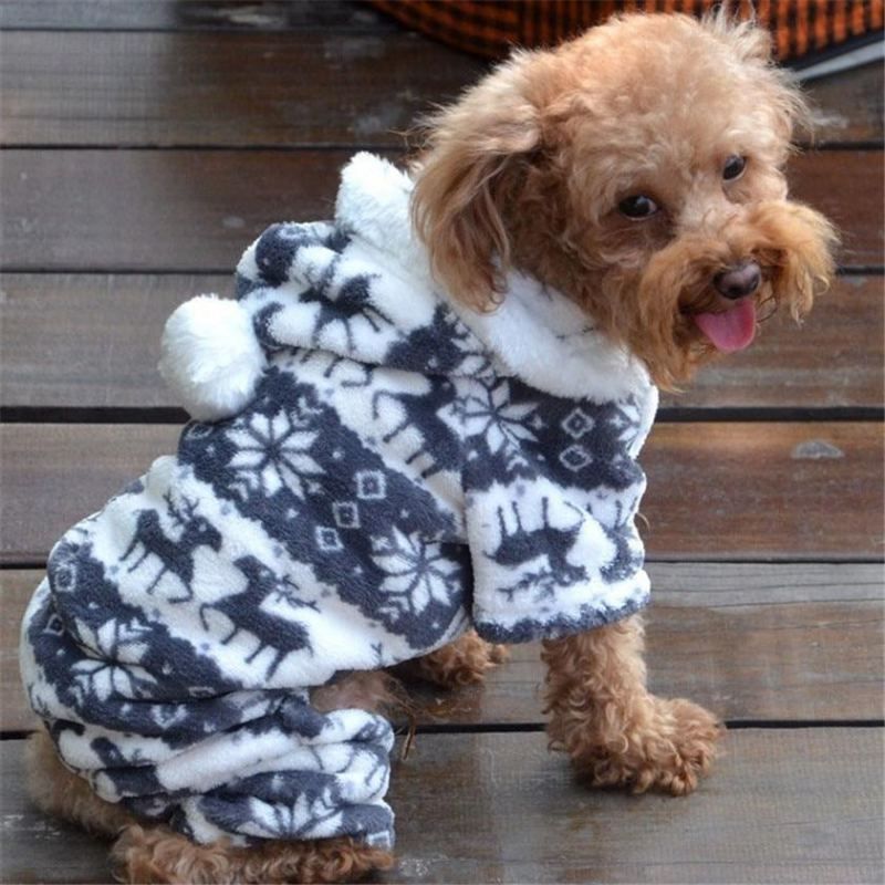 Hettejakkefrakk For Hund