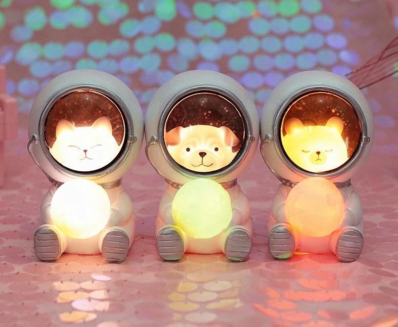 Kreative Dyreastronauter Nattlys