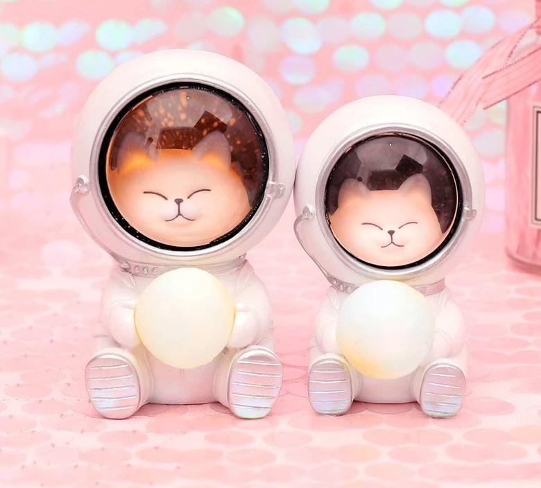 Kreative Dyreastronauter Nattlys