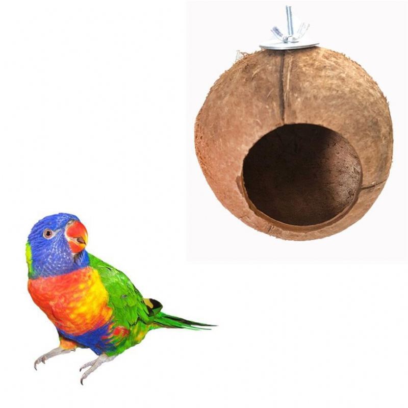 Naturlig Kokosnøtt Fugleredehus