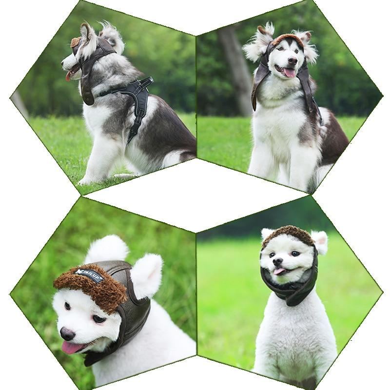 Pet Canvas Cap