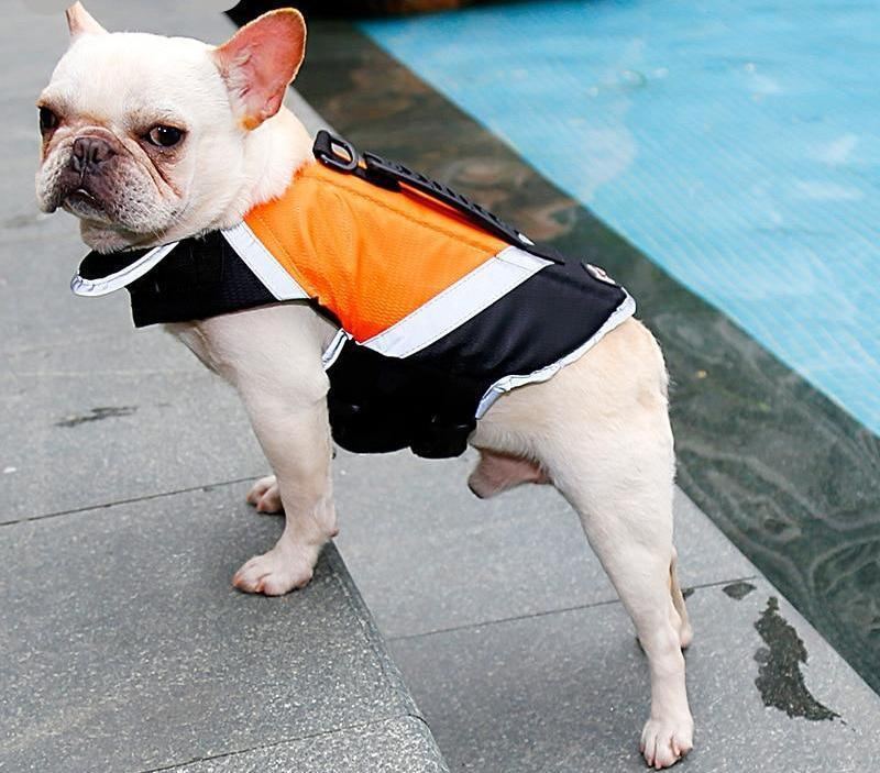 Redningsvest For Hund Med Ekstra Polstring