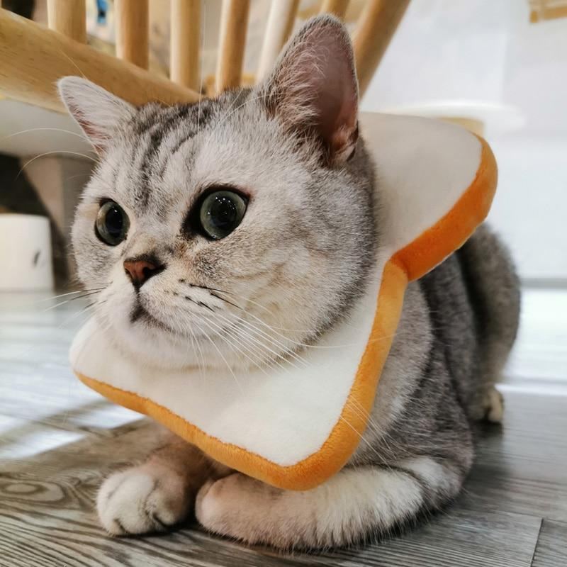 Ristet Kattkrage