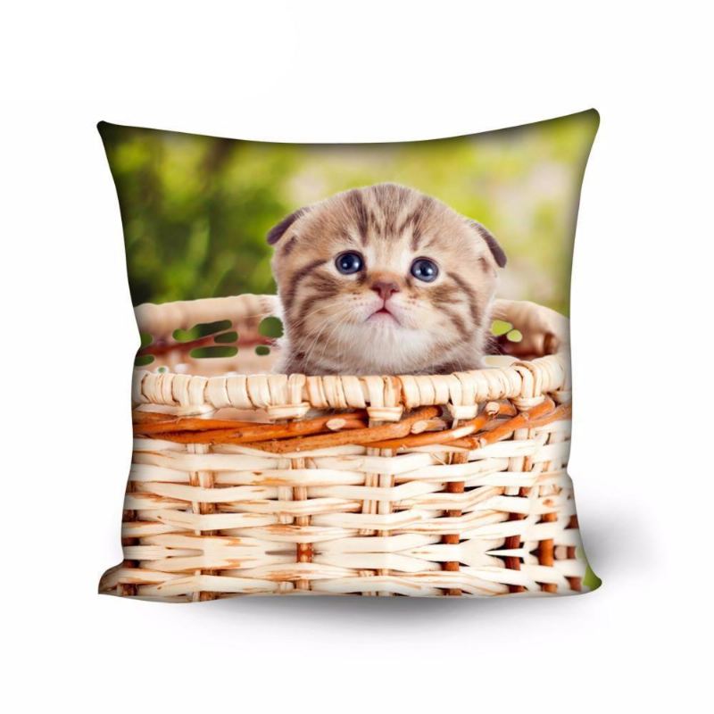Søt Hjem Dekorativ Kattdesign Pute Tilfelle