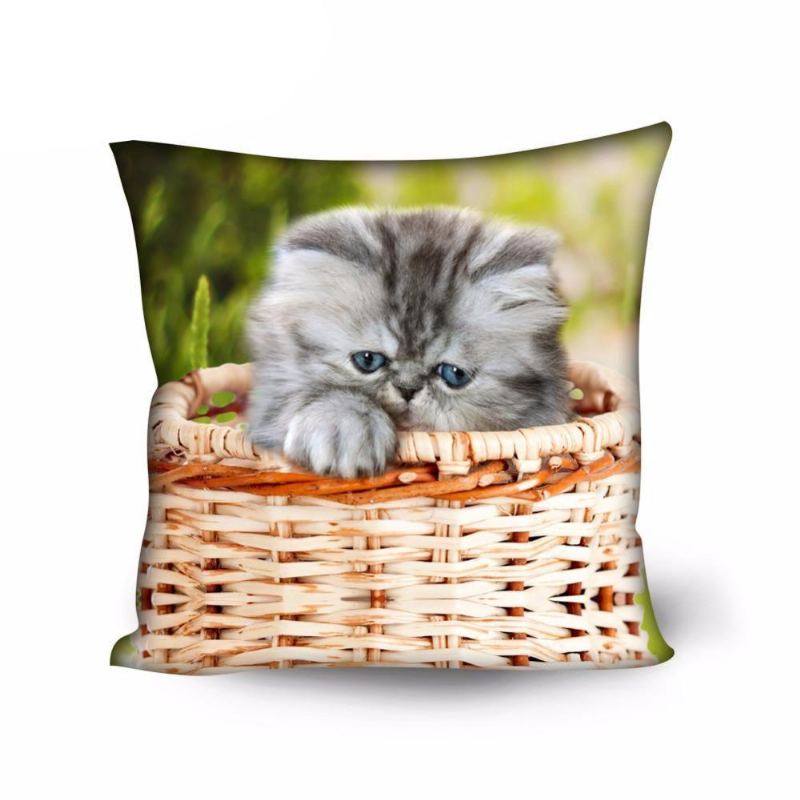 Søt Hjem Dekorativ Kattdesign Pute Tilfelle