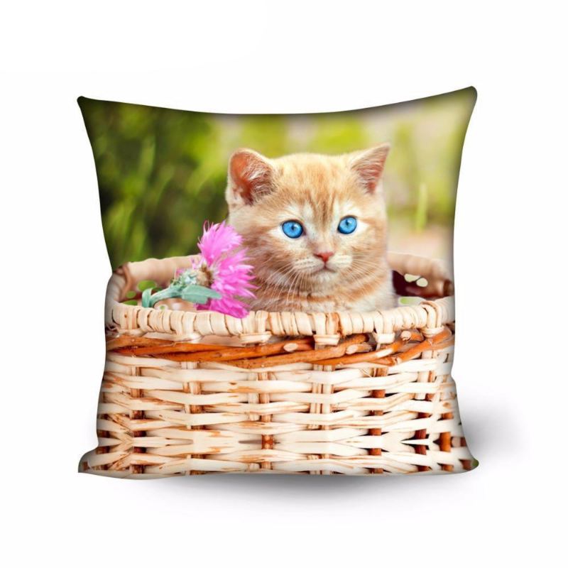 Søt Hjem Dekorativ Kattdesign Pute Tilfelle