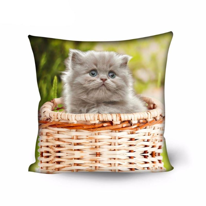 Søt Hjem Dekorativ Kattdesign Pute Tilfelle