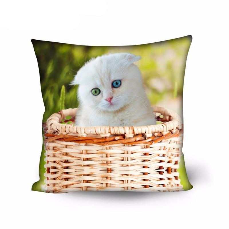Søt Hjem Dekorativ Kattdesign Pute Tilfelle